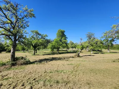 Programme immobilier St André d'Hebertot