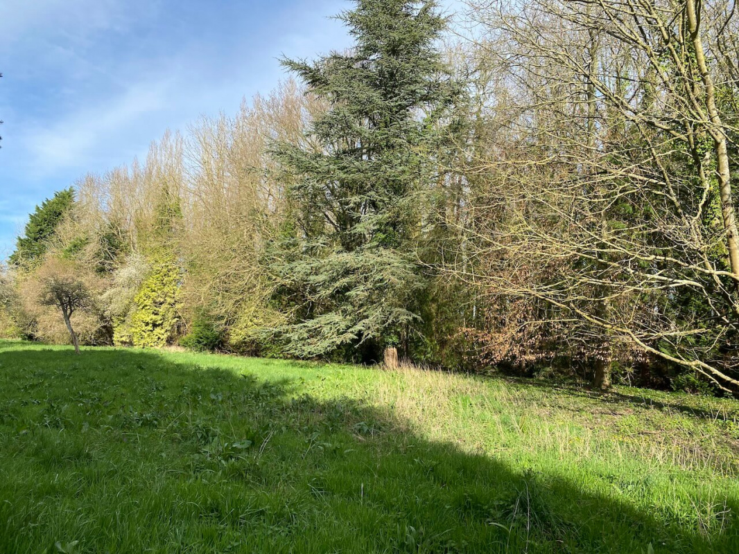 Projet terrains à bâtir Grangues