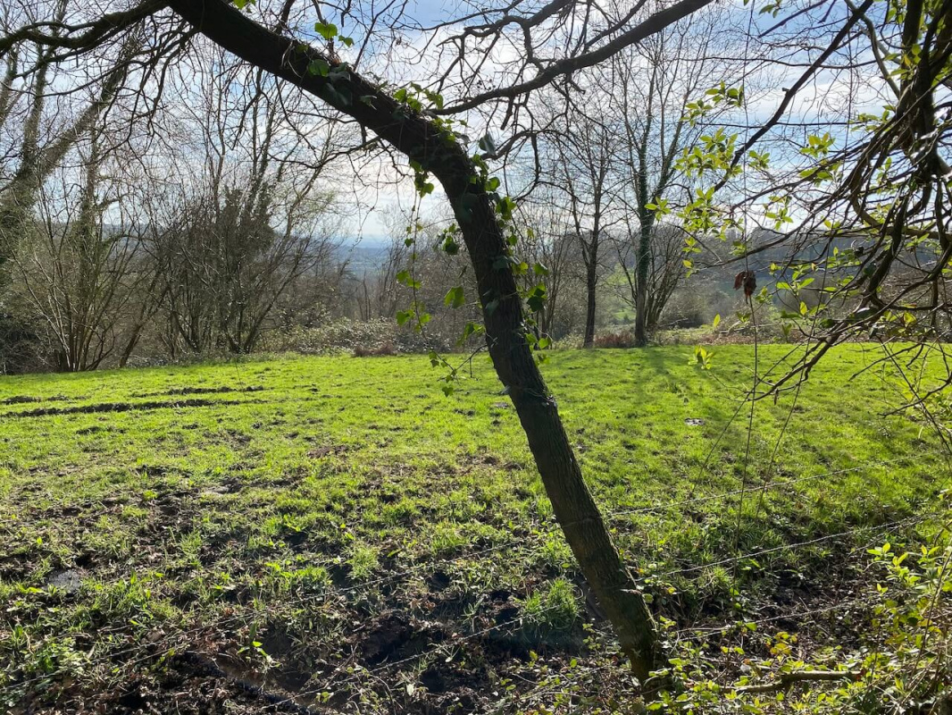 Projet terrains à bâtir Grangues