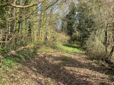 Projet terrains à bâtir Grangues