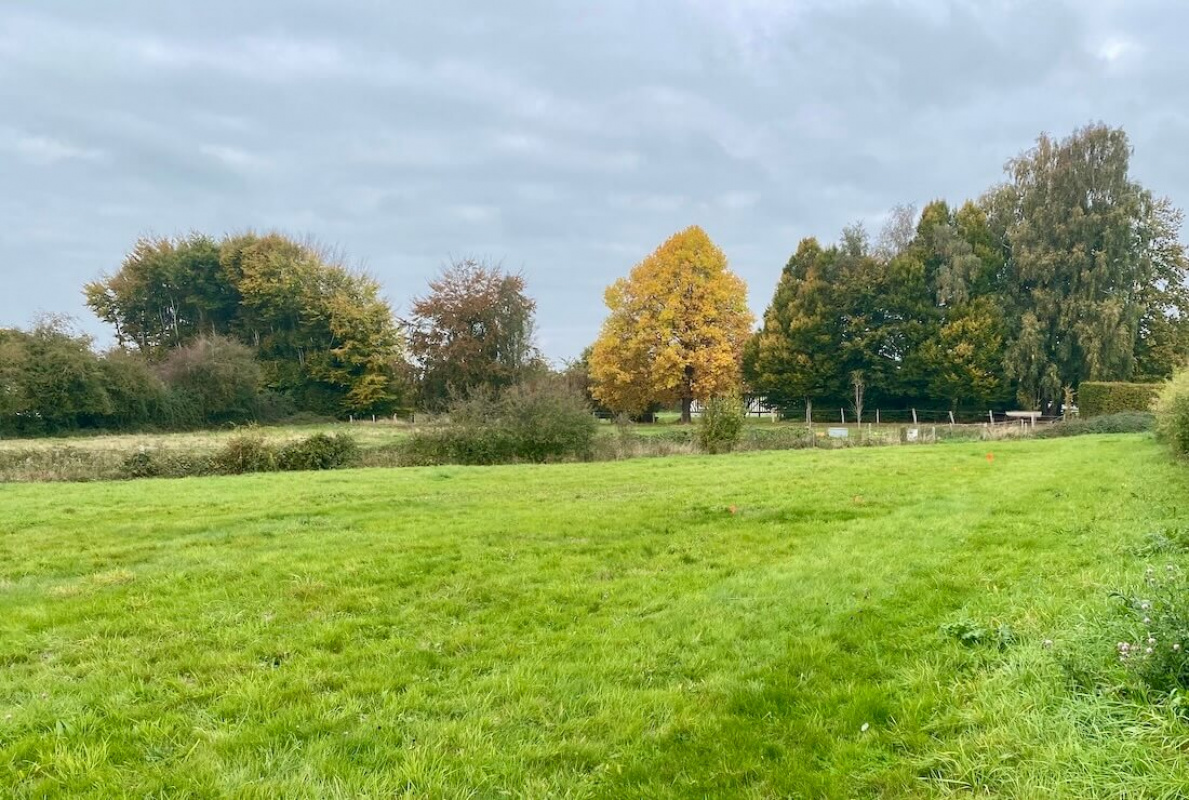 Vue terrain Beuzeville