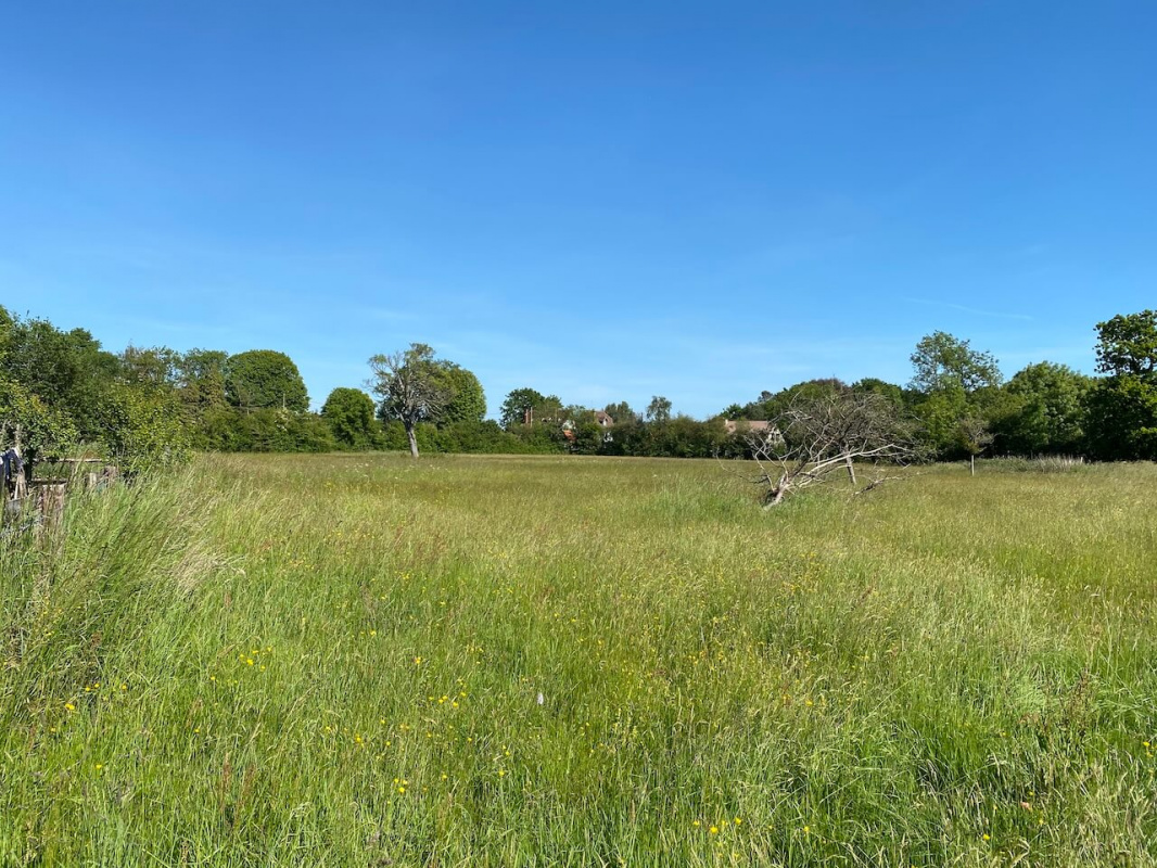 Programme Immobilier Auberville (14)