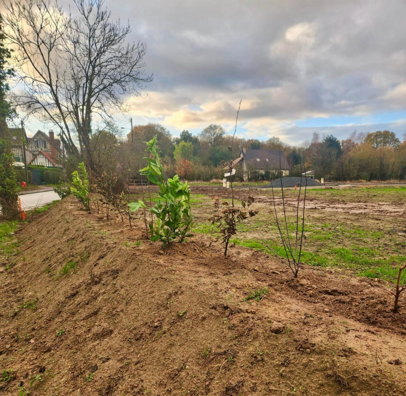 Talutage en limite de voirie